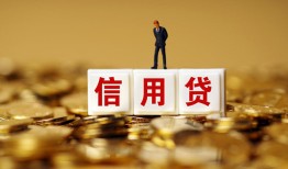 深圳29哪有个人借贷-深圳29小额贷款公司-深圳29私借空放免费上门